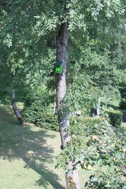B&B Villa Roma Durbuy Esterno foto